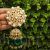Jadau Kundan bridal jhumka with pearl outline round stud and green drops