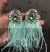 Trendy crystal studs light green feather tassel earrings